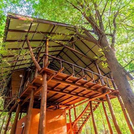 Kaala Kalaththewa Luxury Eco Resort Anuradhapura Ngoại thất bức ảnh