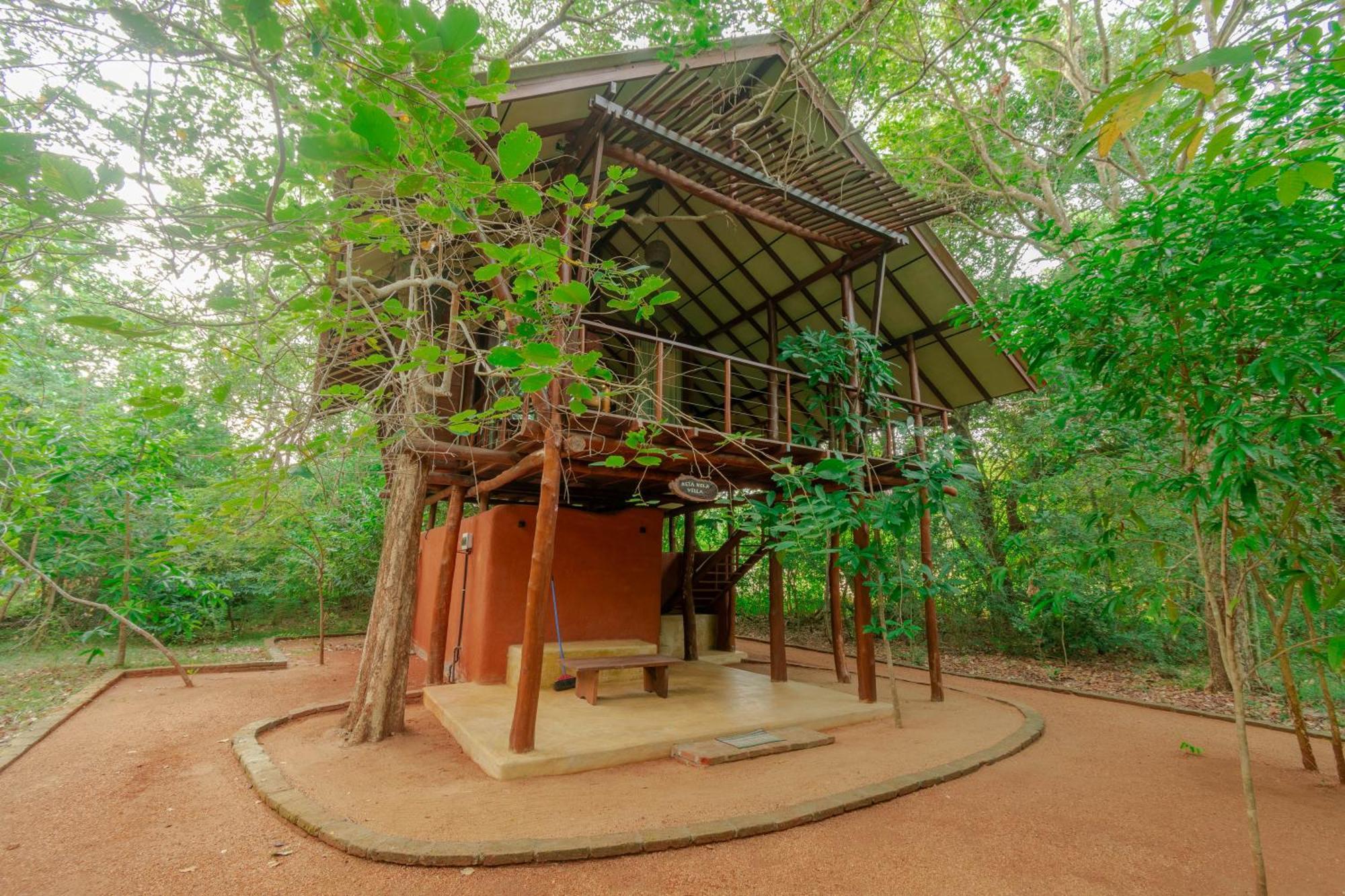 Kaala Kalaththewa Luxury Eco Resort Anuradhapura Ngoại thất bức ảnh