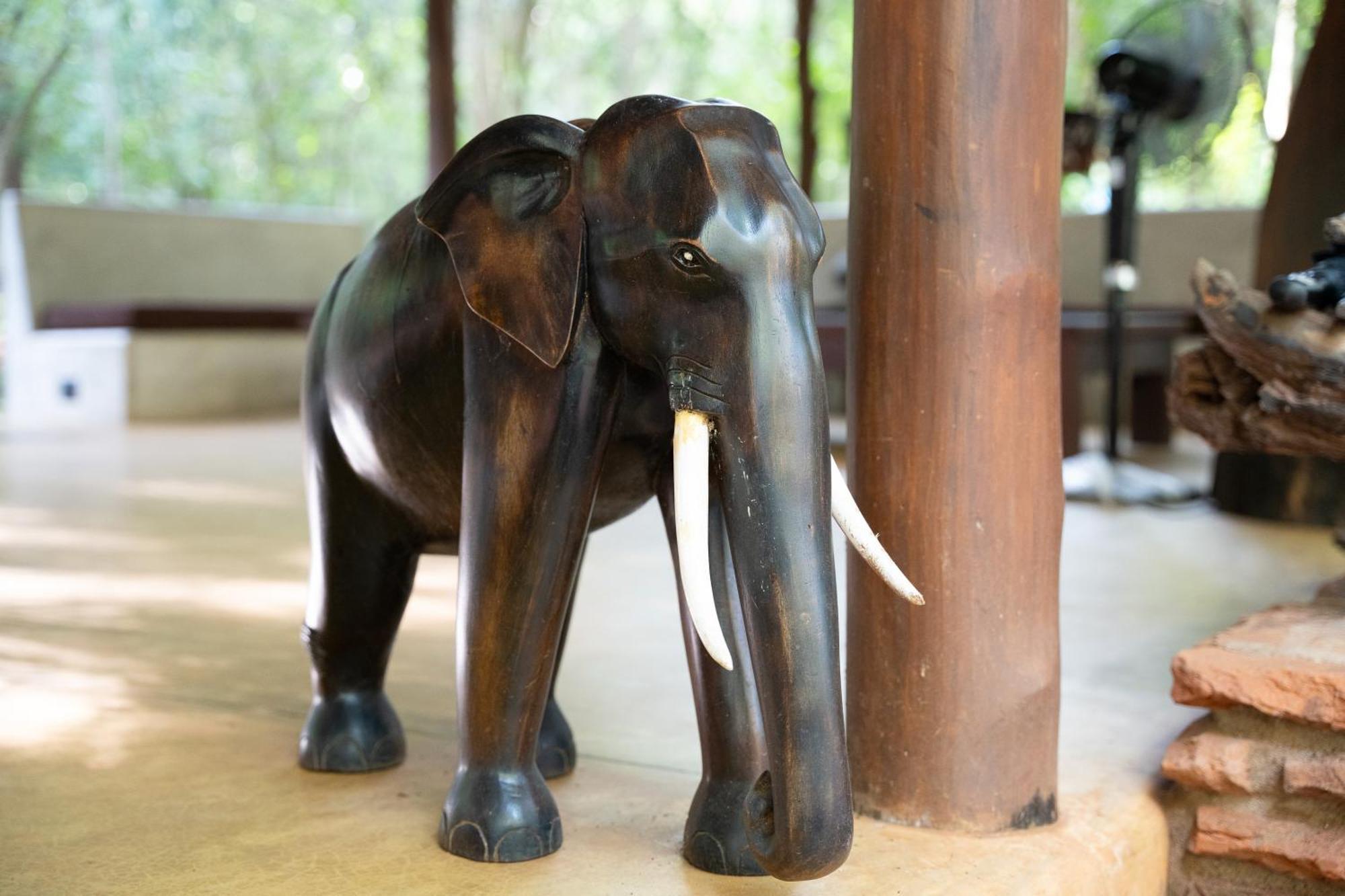 Kaala Kalaththewa Luxury Eco Resort Anuradhapura Ngoại thất bức ảnh